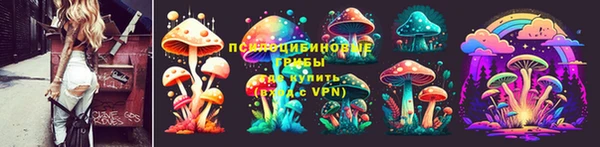 индика Бикин