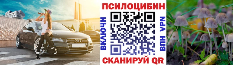 Галлюциногенные грибы MAGIC MUSHROOMS  Брянск 