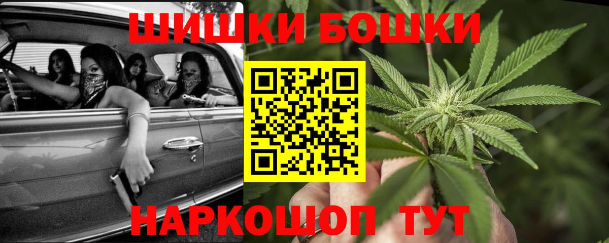 Каннабис сатива Брянск